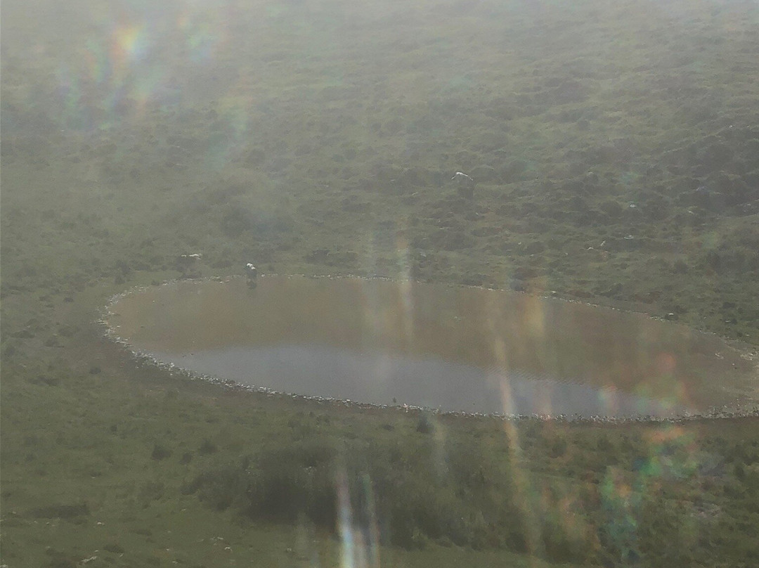 Happy Owl Tracks-维罗纳必去景点