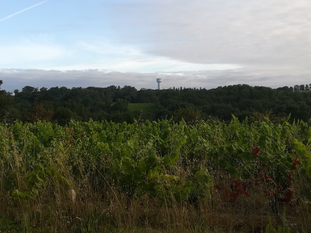 Domaine des Trois Versants主图