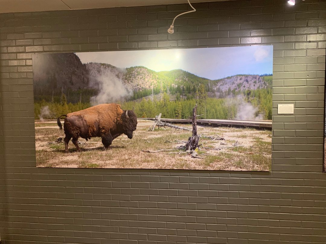 布法罗比尔科迪村假日酒店主图