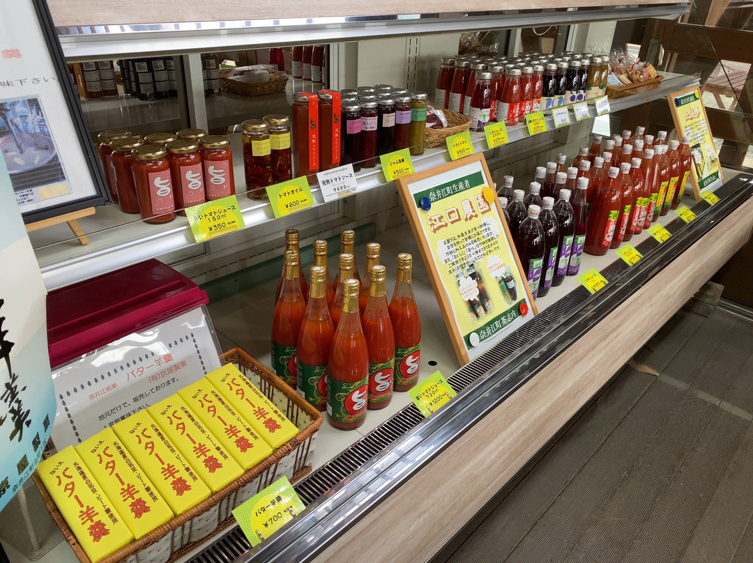 Michi No Eki Hausjärvi Naie-奈井江町必去景点