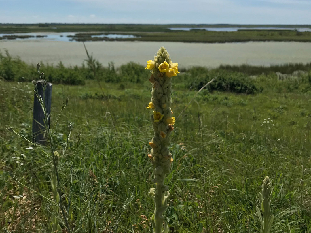 Crex Meadows Wildlife Area-Grantsburg必去景点