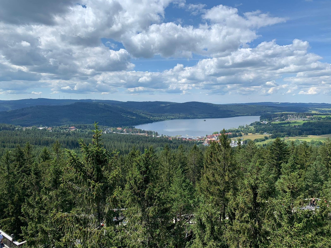 Lipno Lake-弗林布尔克必去景点