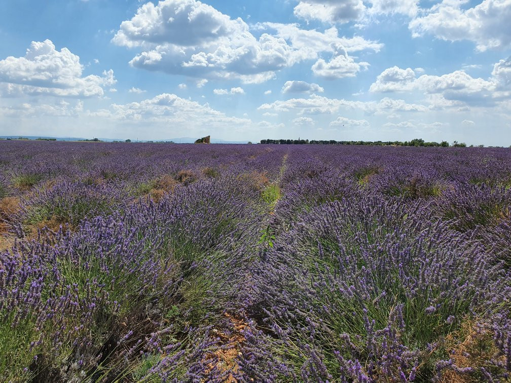 Lavande Angelvin-瓦朗索勒必去景点