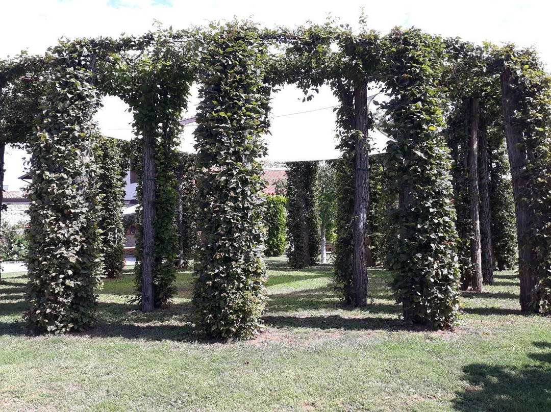 Parco Sculture Braida Copetti景点图片