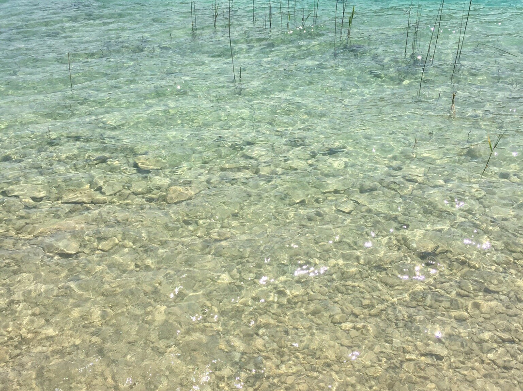 Passeggiata Lungolago景点图片