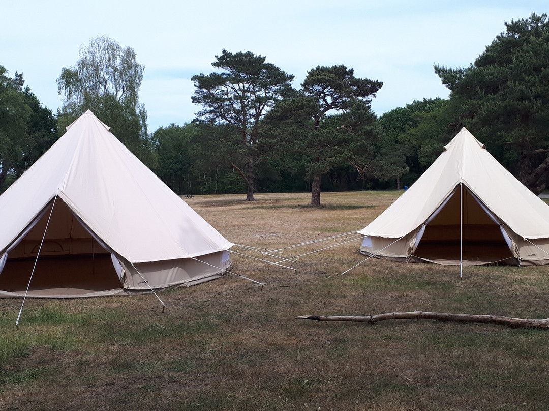 Serenity Glamping - luxe kamperen op maat景点图片