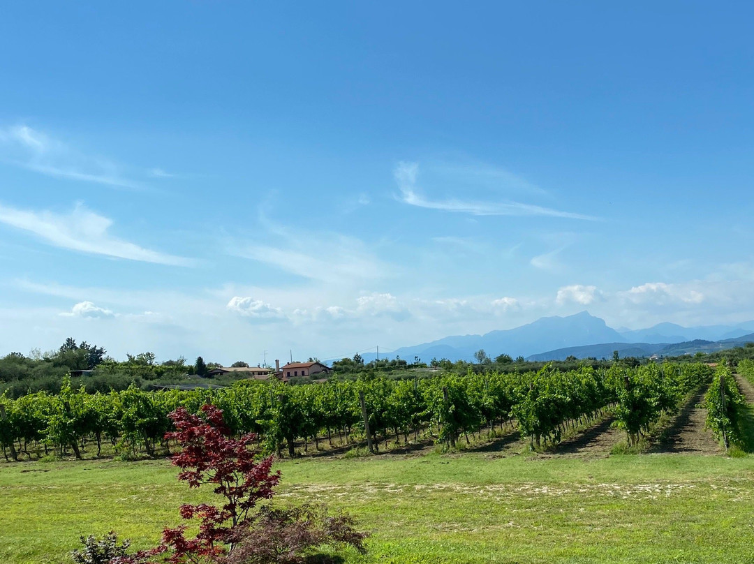 Agriturismo Le Vai主图