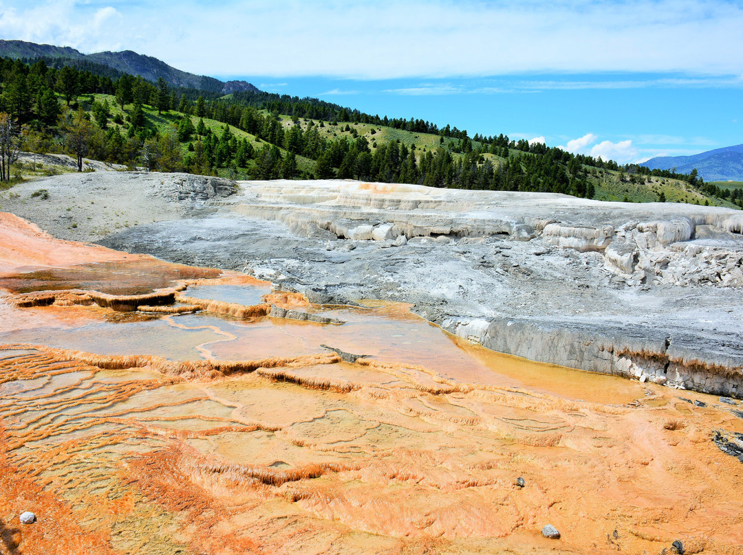 Terrace Mountain-黄石国家公园必去景点
