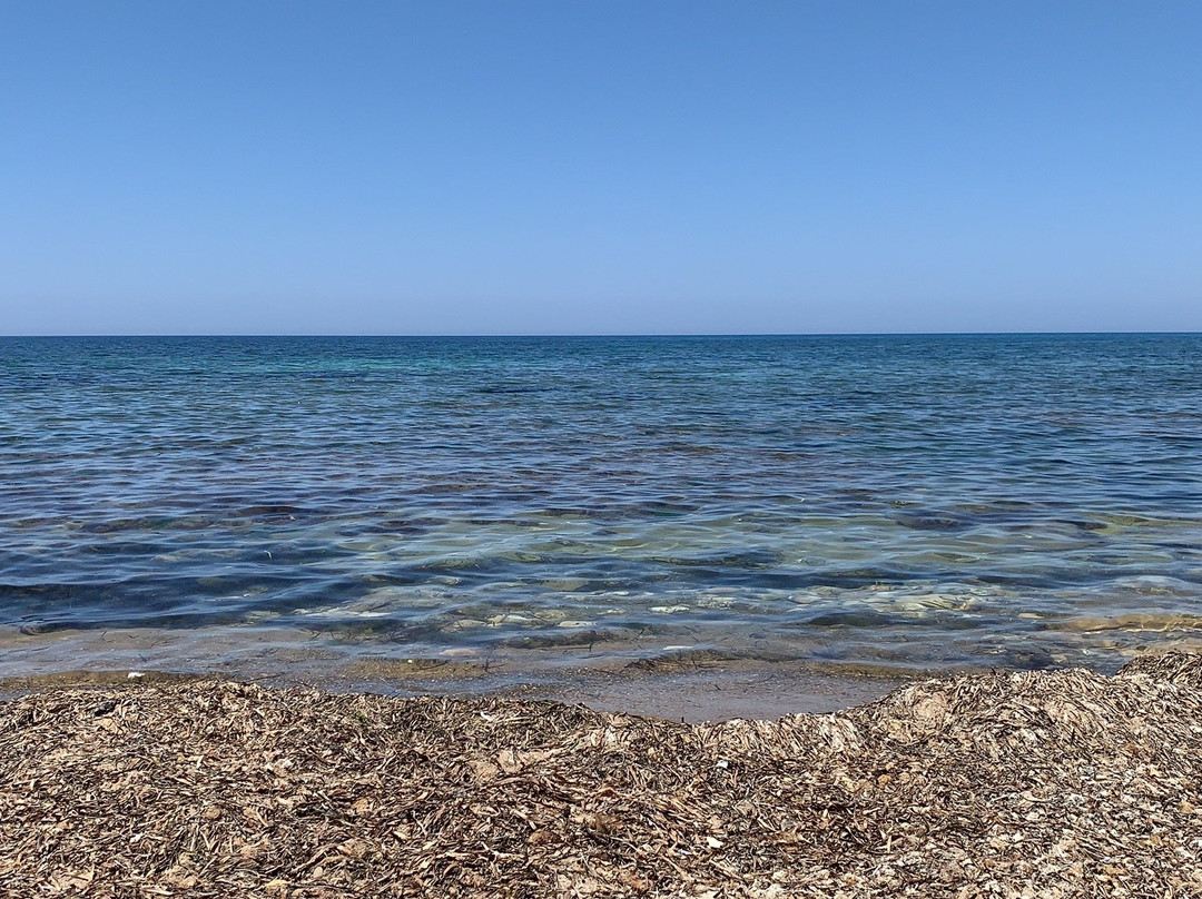 Spiaggia di Punta Braccetto景点图片