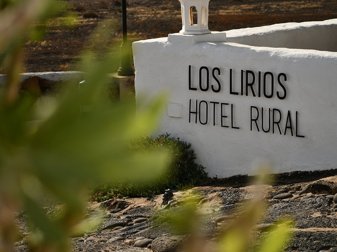Los Lirios Hotel Rural主图