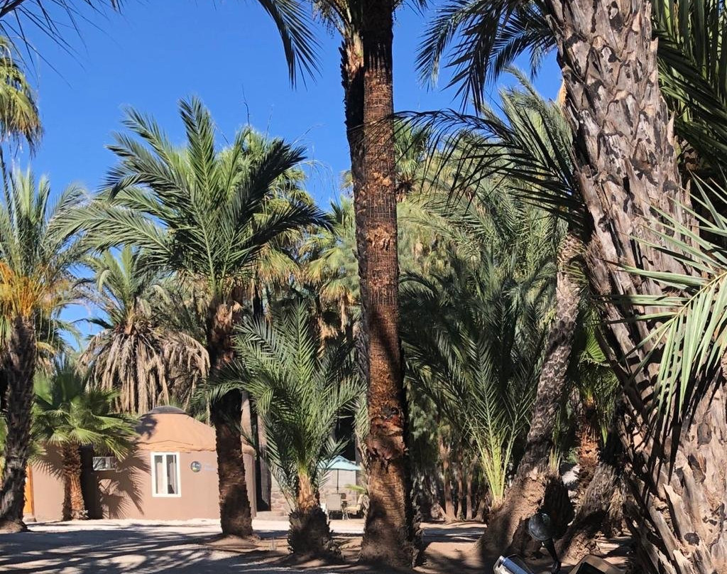 Ignacio Springs Bed & Breakfast主图