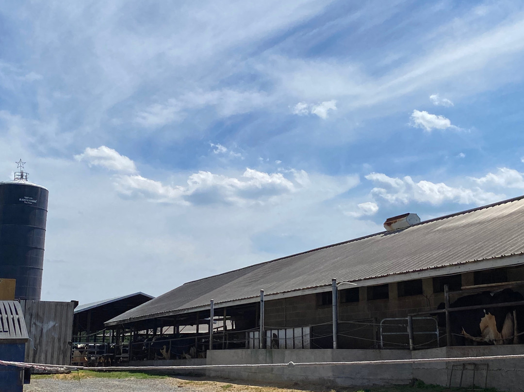 Hopkins Farm Creamery-刘易斯必去景点