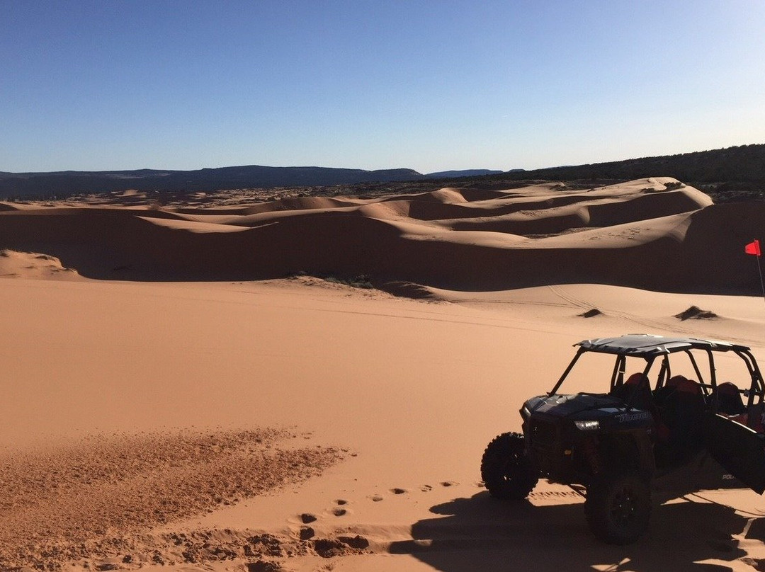 Medina旅游攻略图片