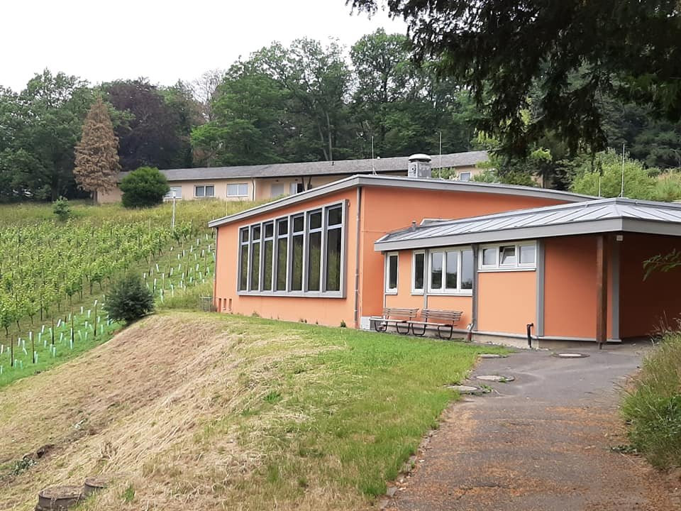 Jufa Hotel Königswinter****主图