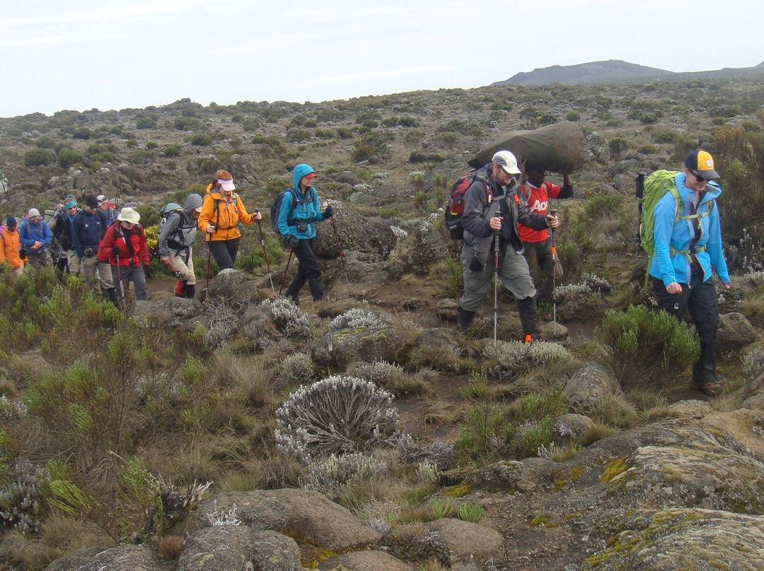 Safarika Africa Ltd-阿鲁沙必去景点