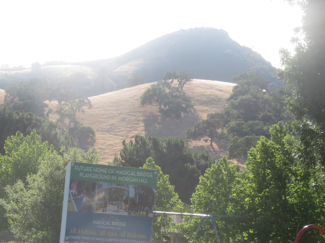 Dog Park - Morgan Hill-摩根希尔必去景点