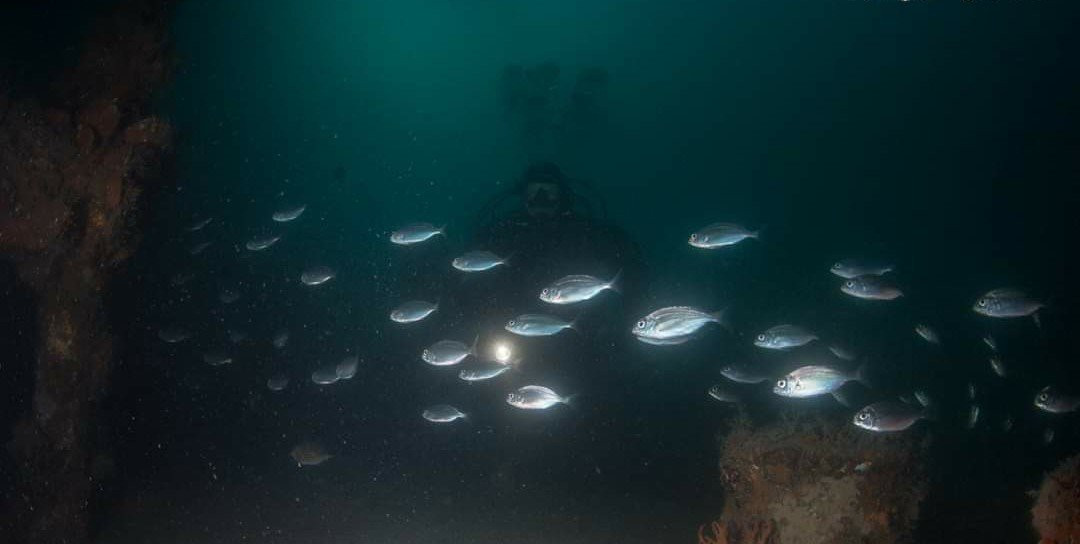 Isamar Diving Center-基奥贾必去景点