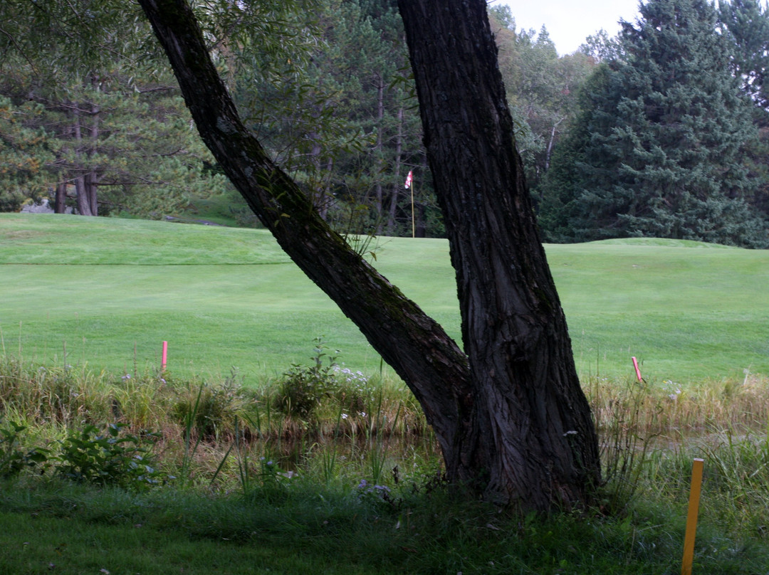 Club de Golf Les Ruisseaux景点图片