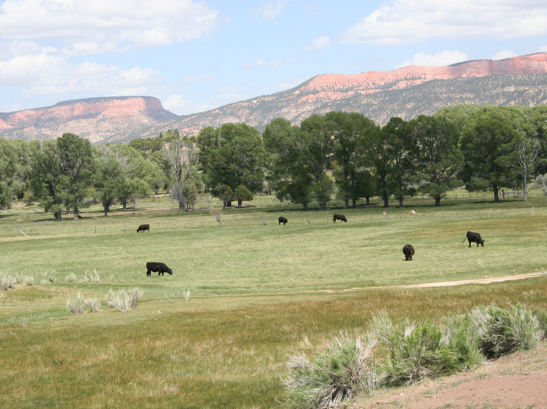 Bryce Zion Inn主图