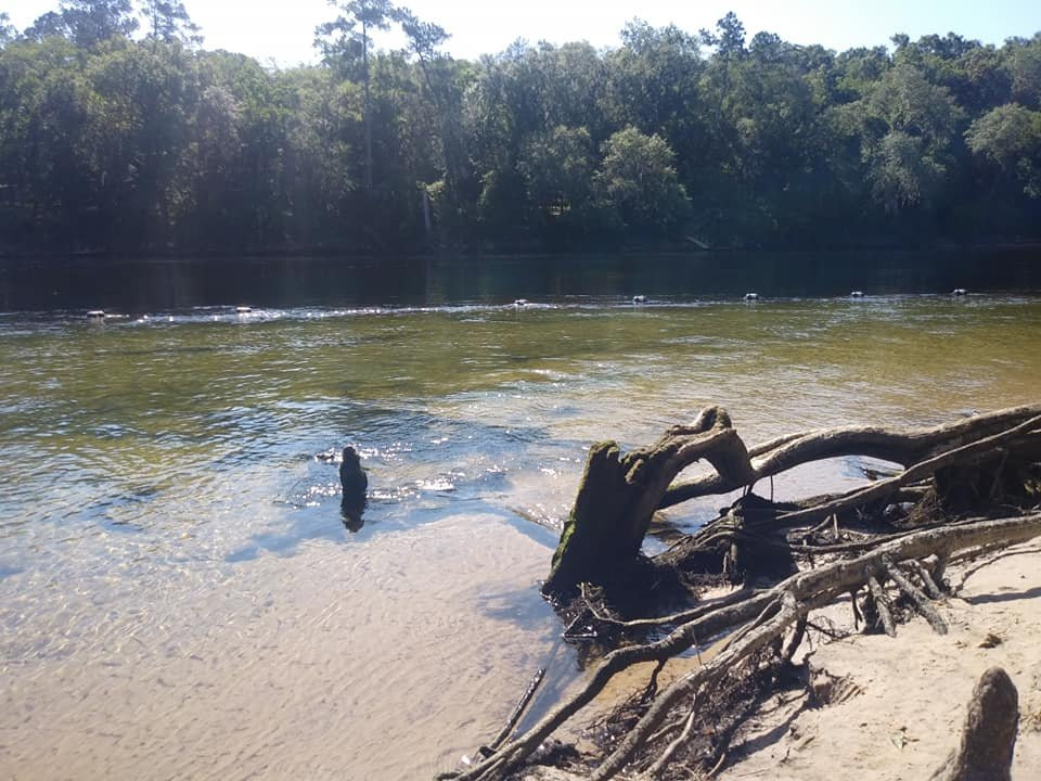 Lafayette Blue Springs State Park-Mayo必去景点