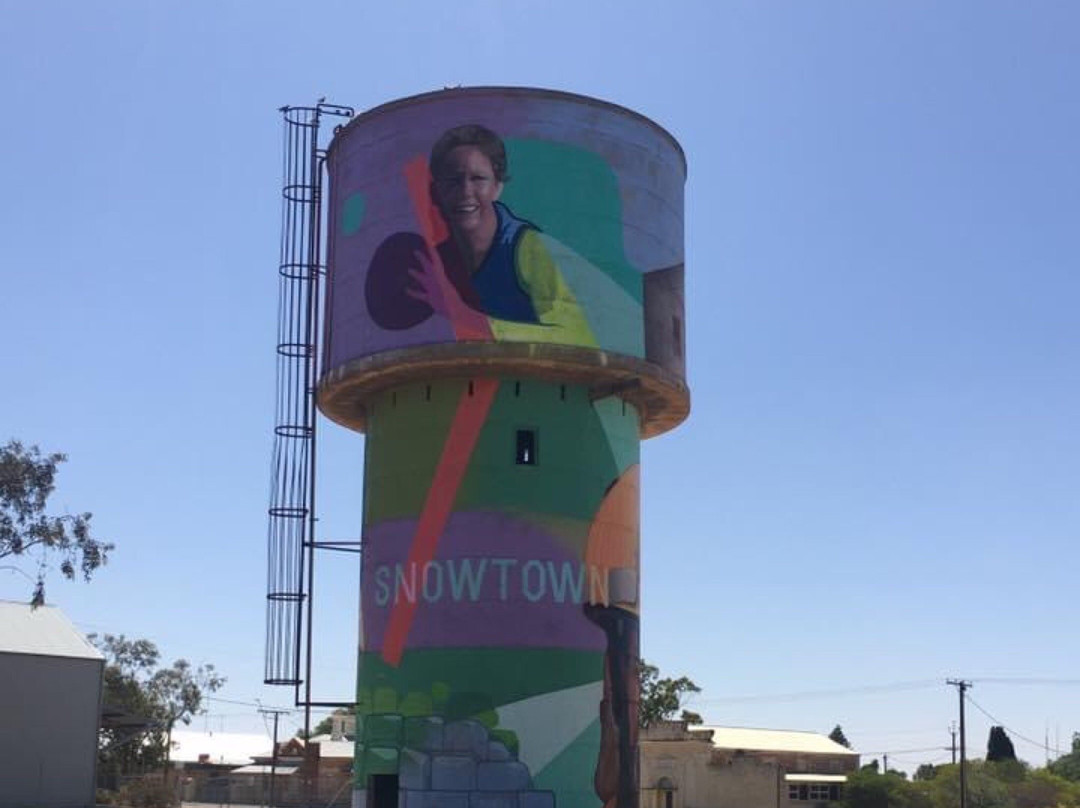 Snowtown Water Tower Art景点图片