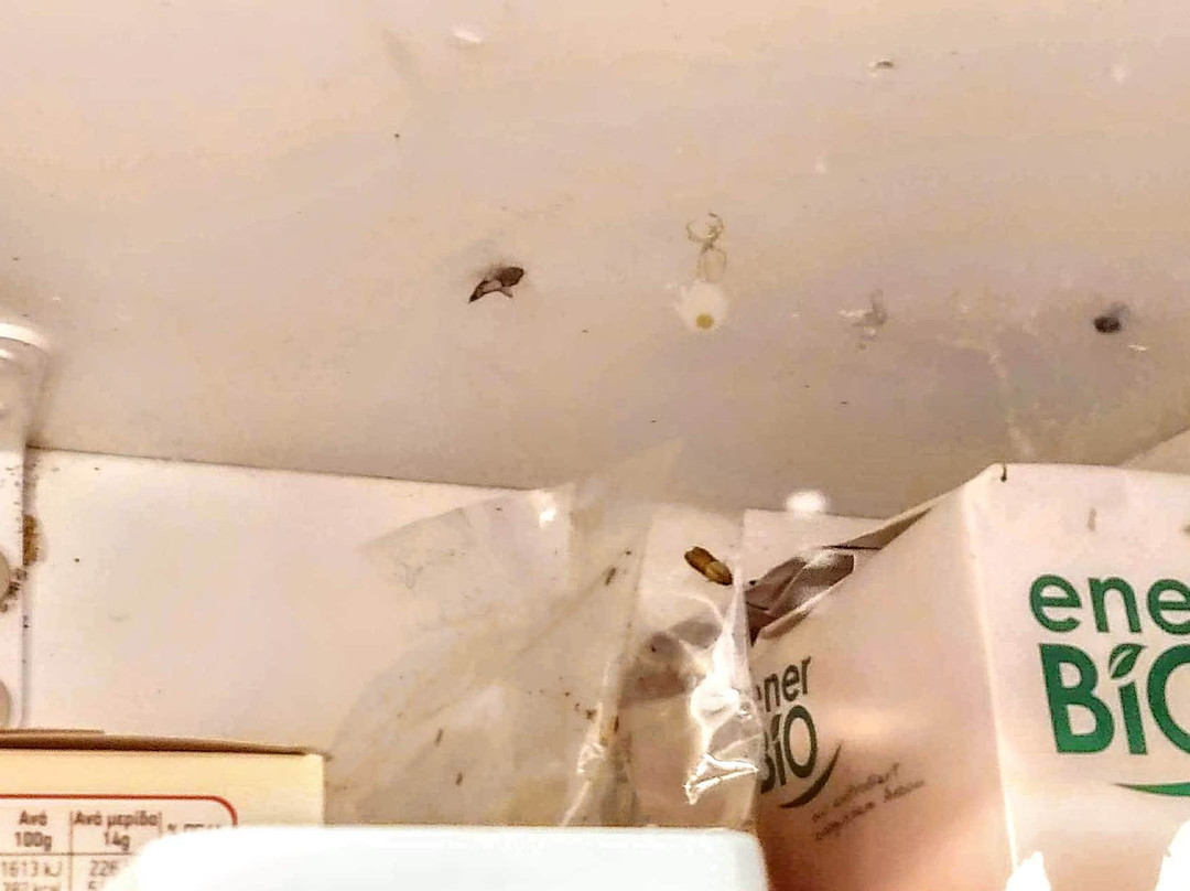 Vafios旅游攻略图片