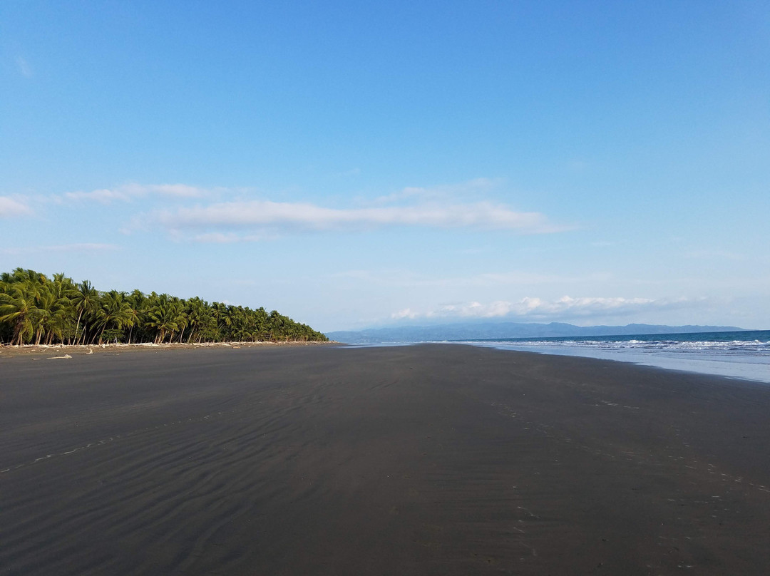 Cabinas Los Cocos主图