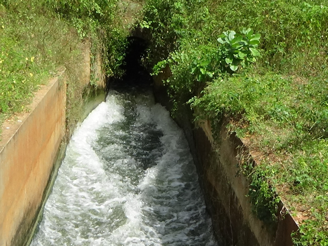 Yodha Wewa-马纳尔必去景点