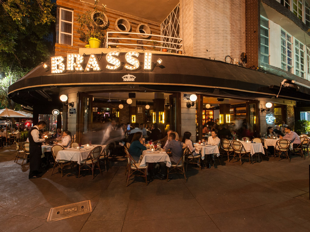 Brassi Restaurant Polanquito