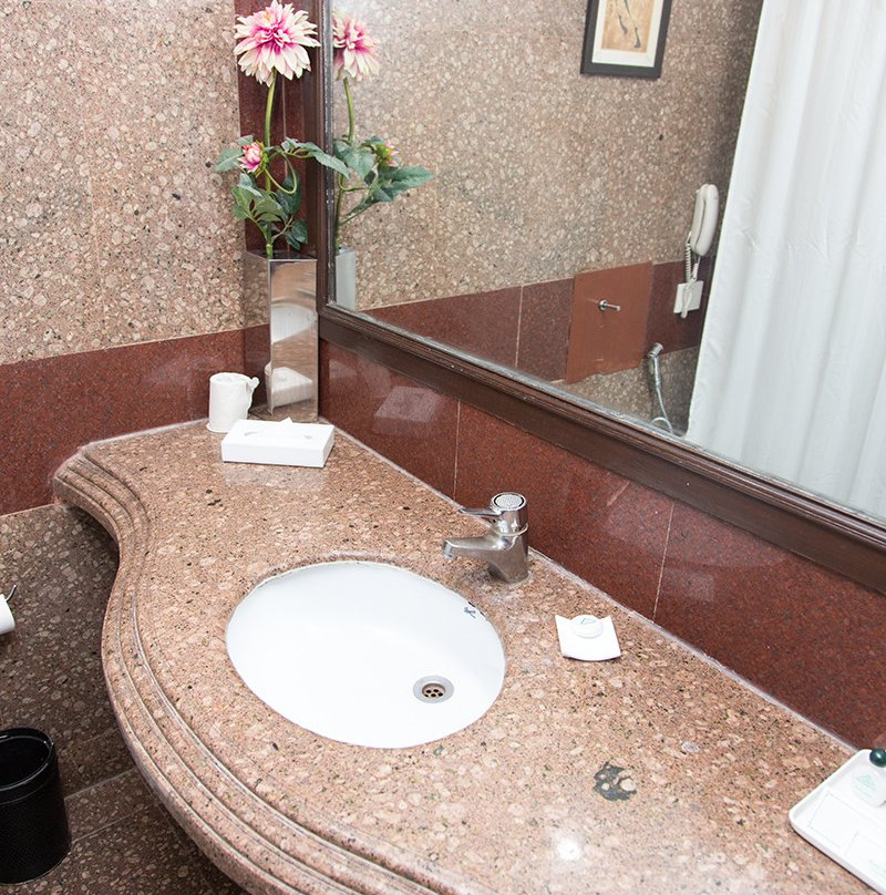 Hotel Shanti Palace主图