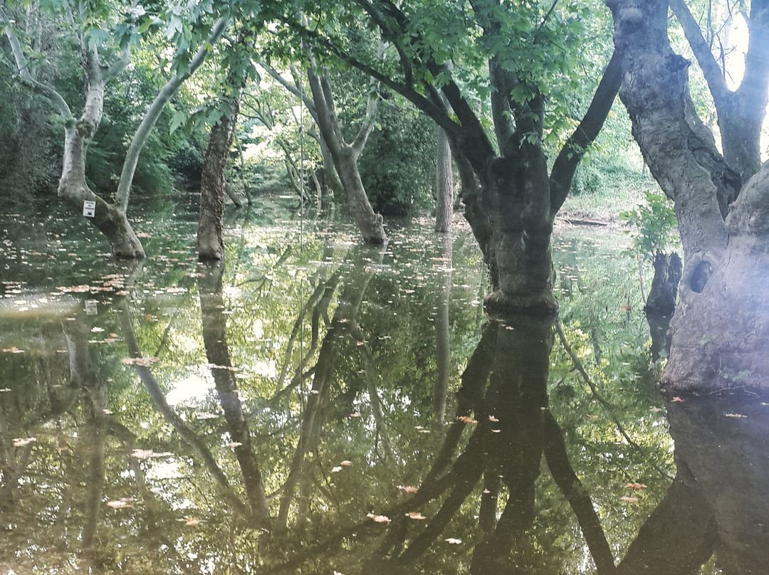 Saroz Korfezi-Edirne必去景点