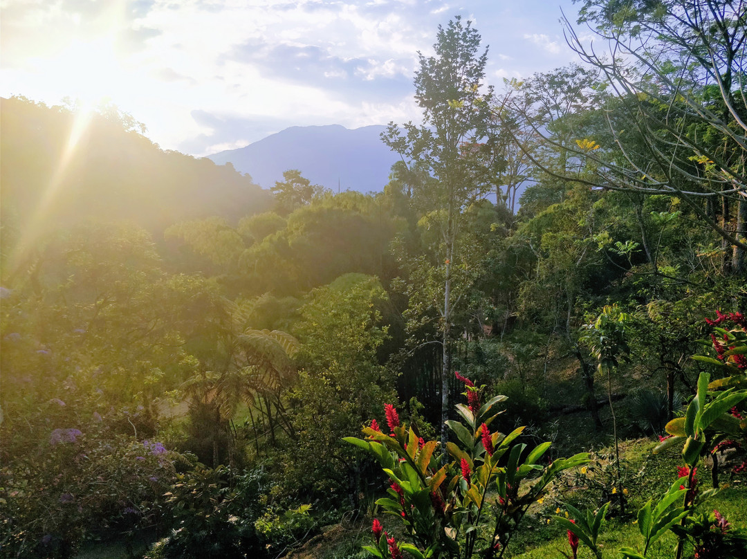 Origen Cacao-Barbosa必去景点