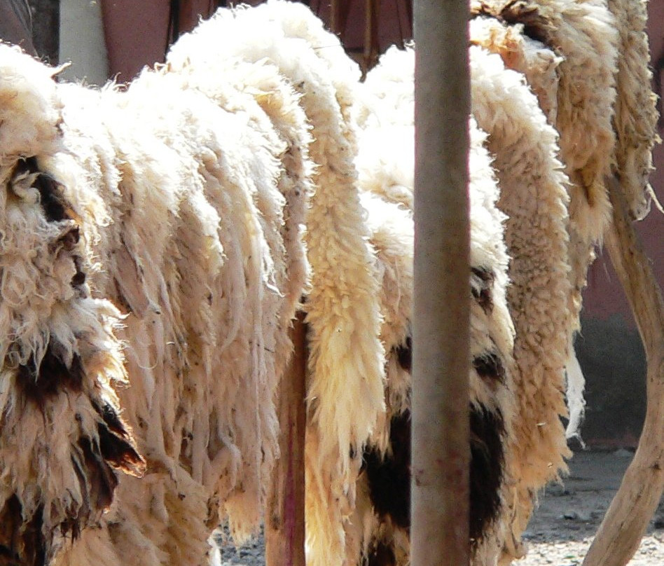 Tanneries-塔鲁丹特必去景点