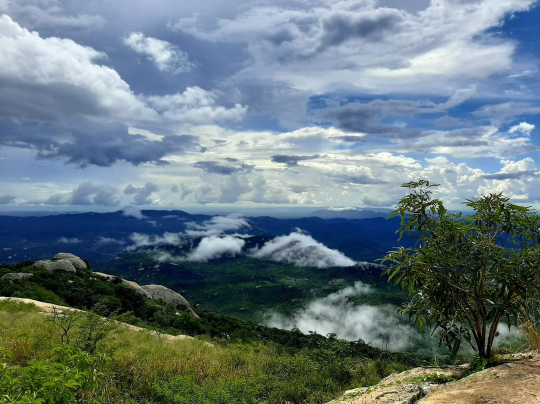 Parque Estadual Pico do Jabre景点图片