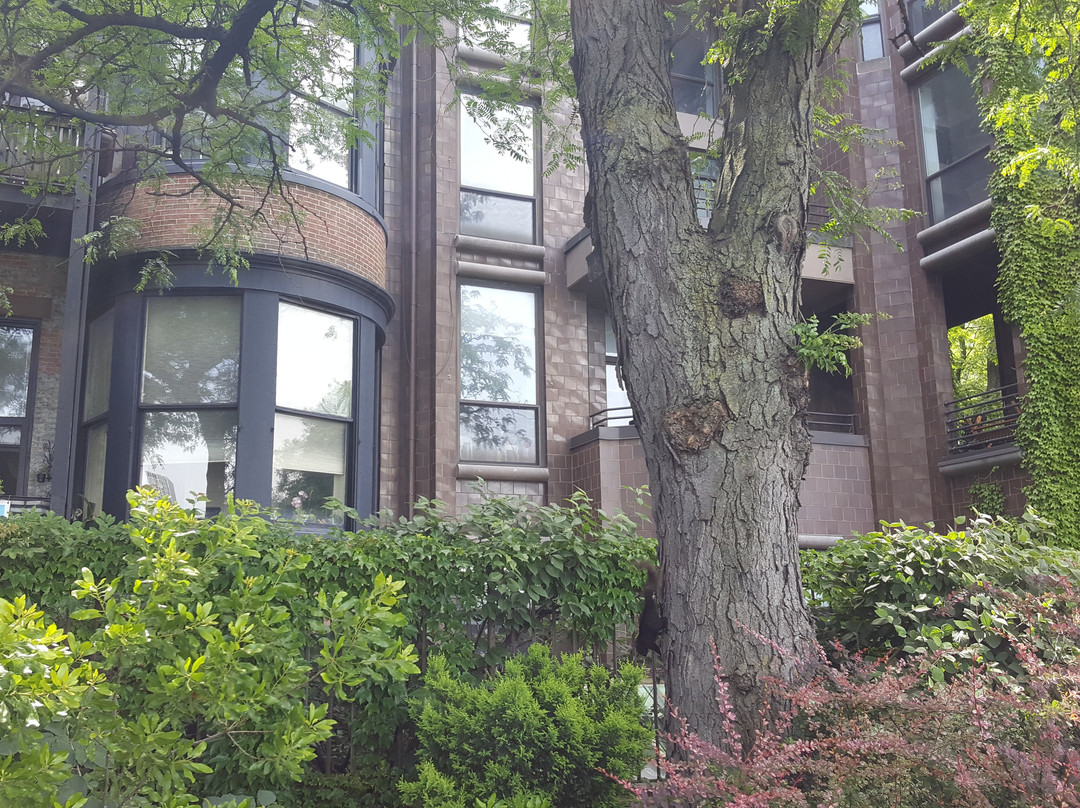 布鲁克林高地-布鲁克林必去景点