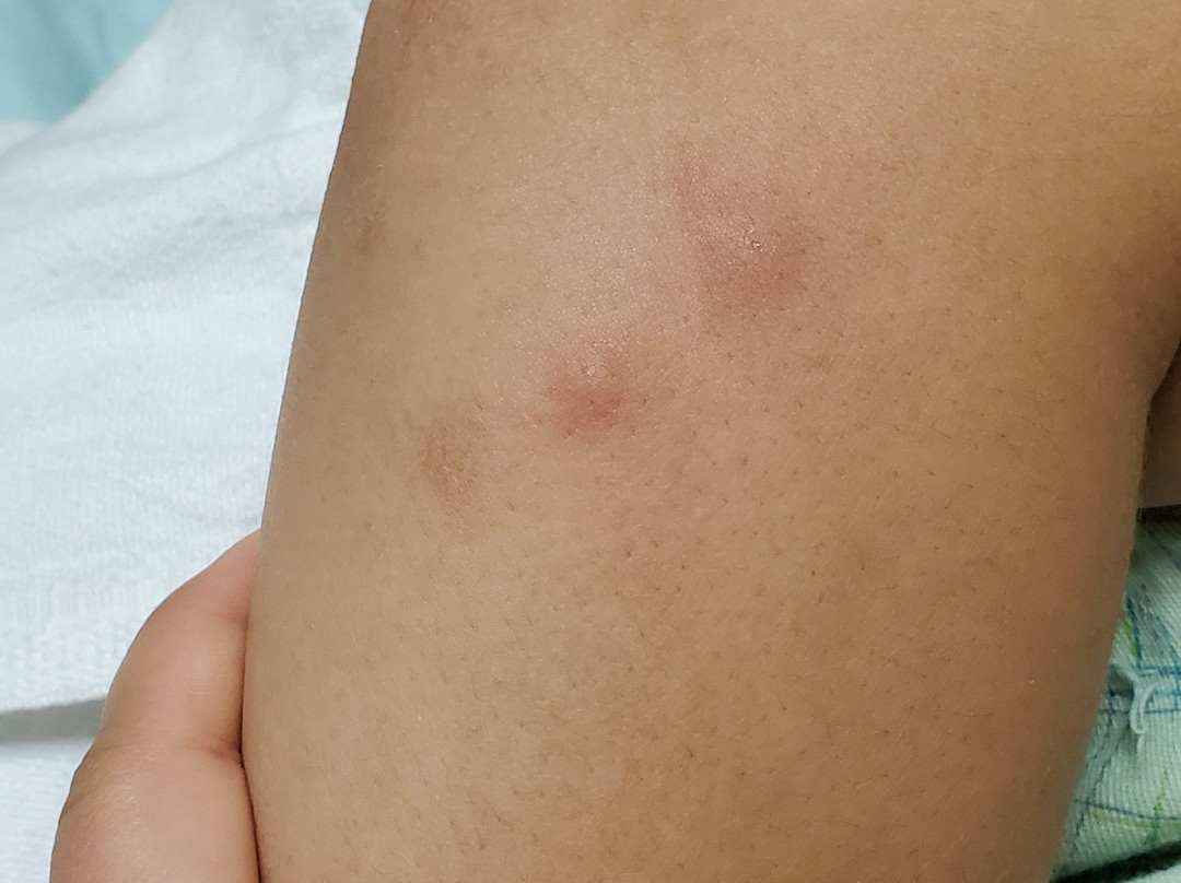 Comfort Inn St Louis - Westport主图