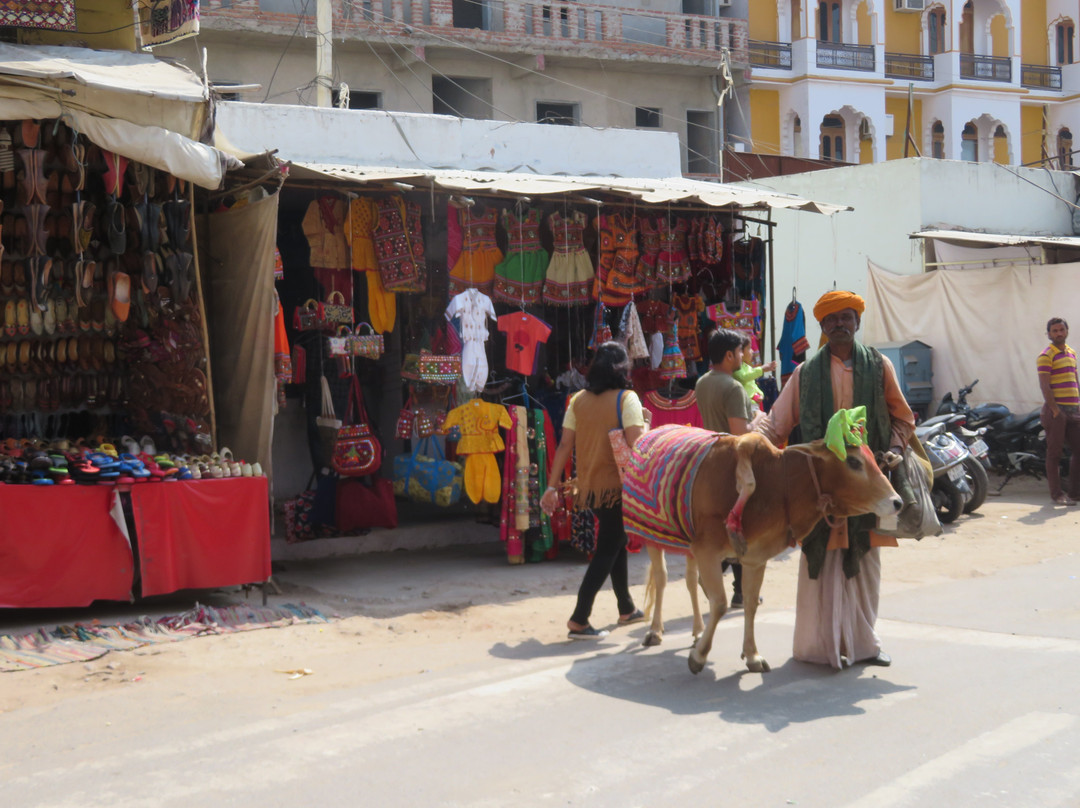 Pushkar Main Market景点图片