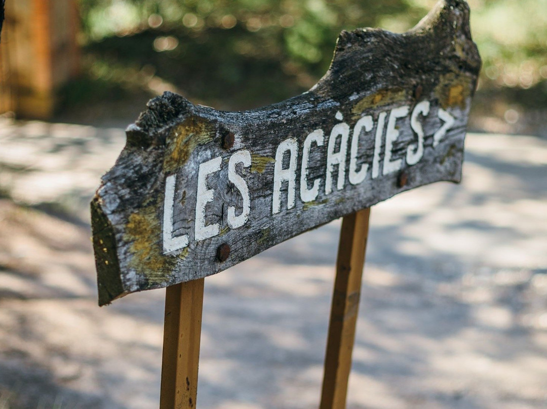 Les Acàcies-Avinyó必去景点