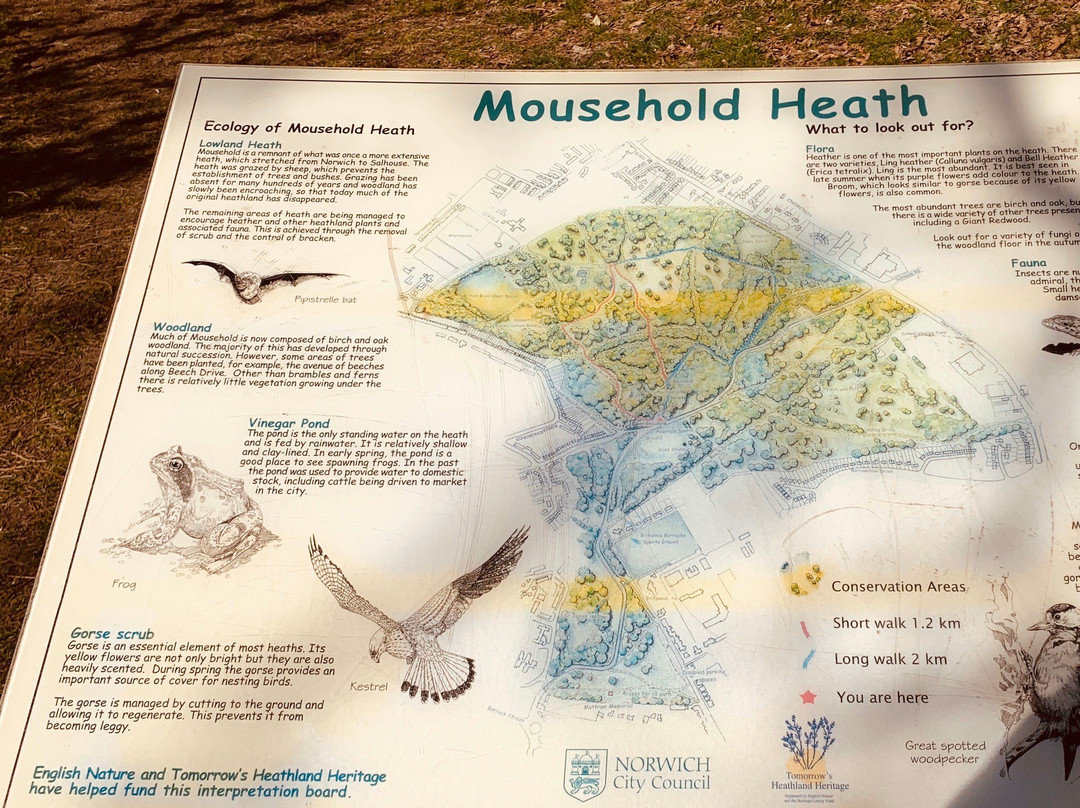 Mousehold Heath景点图片