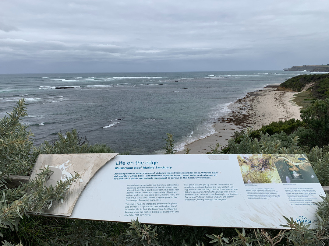West Head Lookout景点图片