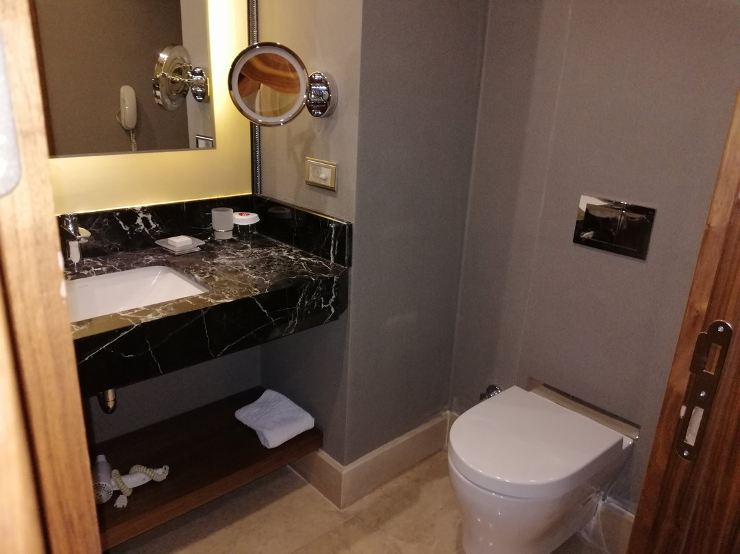 Ramada By Wyndham Elazığ主图