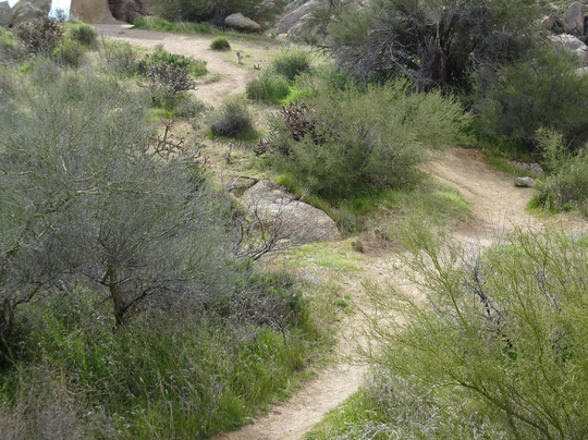 Marcus Landslide Trail-斯科茨代尔必去景点