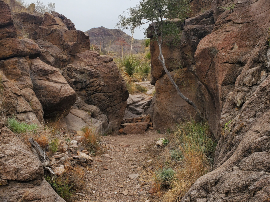 Lower Burro Mesa Pour-off Trail景点图片