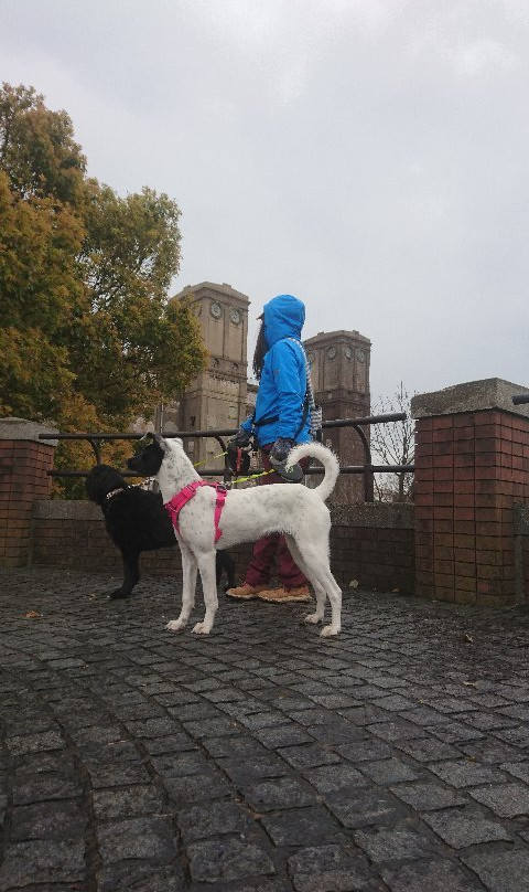 Yokohama Negishi Forest Park-横滨市必去景点
