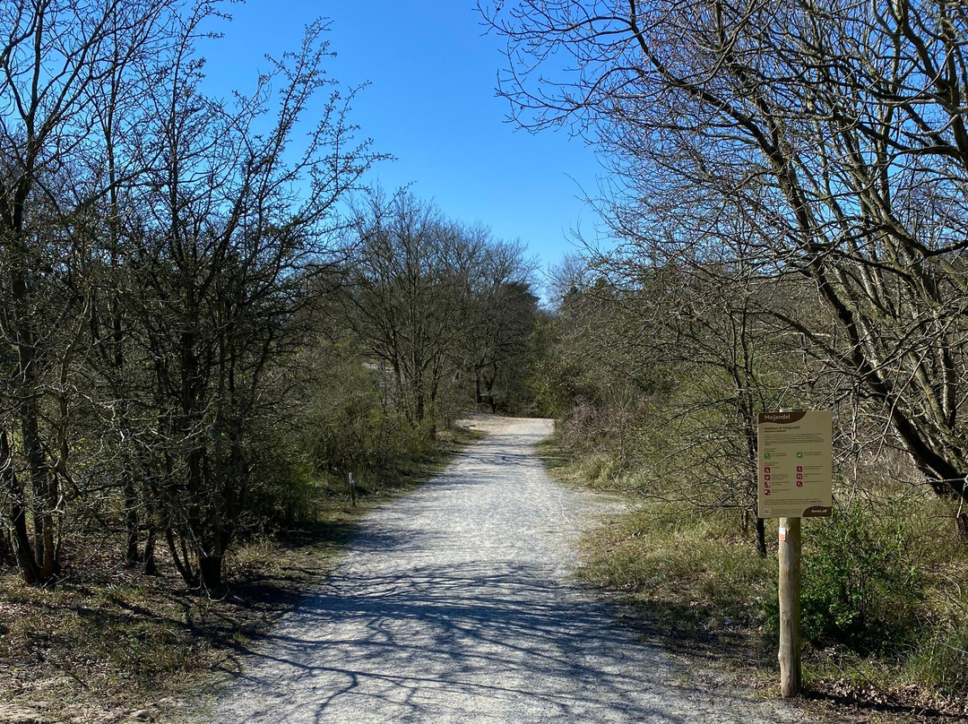 Duinreservaat Meijendel-Kievietsduin-Wassenaar必去景点