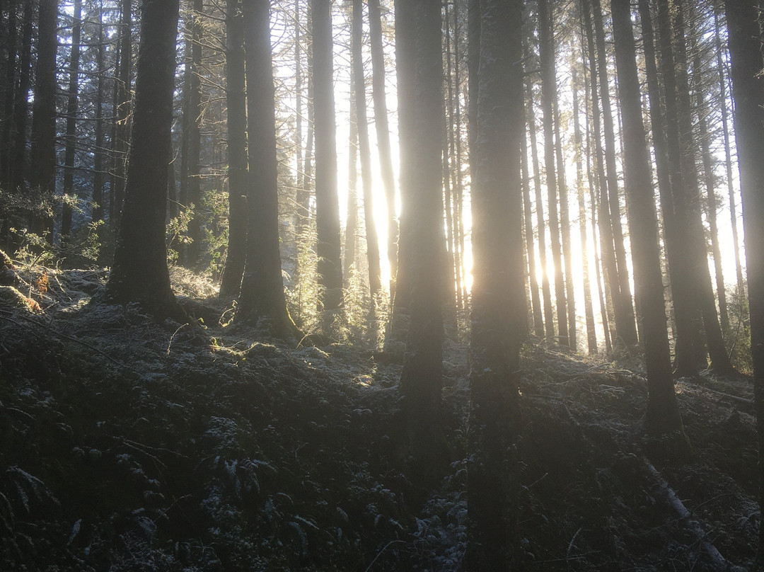 Gortin Glen Forest Park景点图片