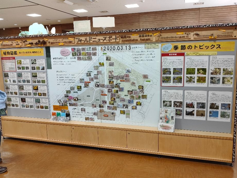 Jindai Botanical Garden Plant Diversity Center景点图片
