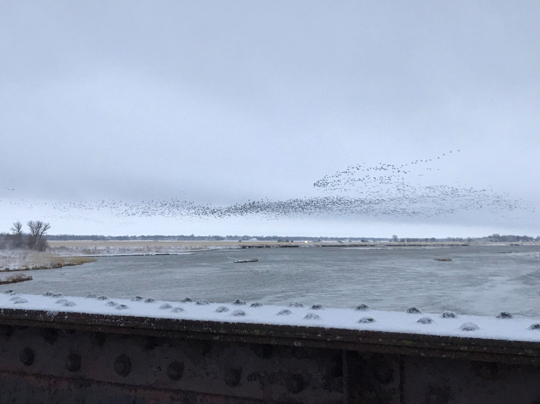 Hike-Bike Trail Bridge-卡尼必去景点