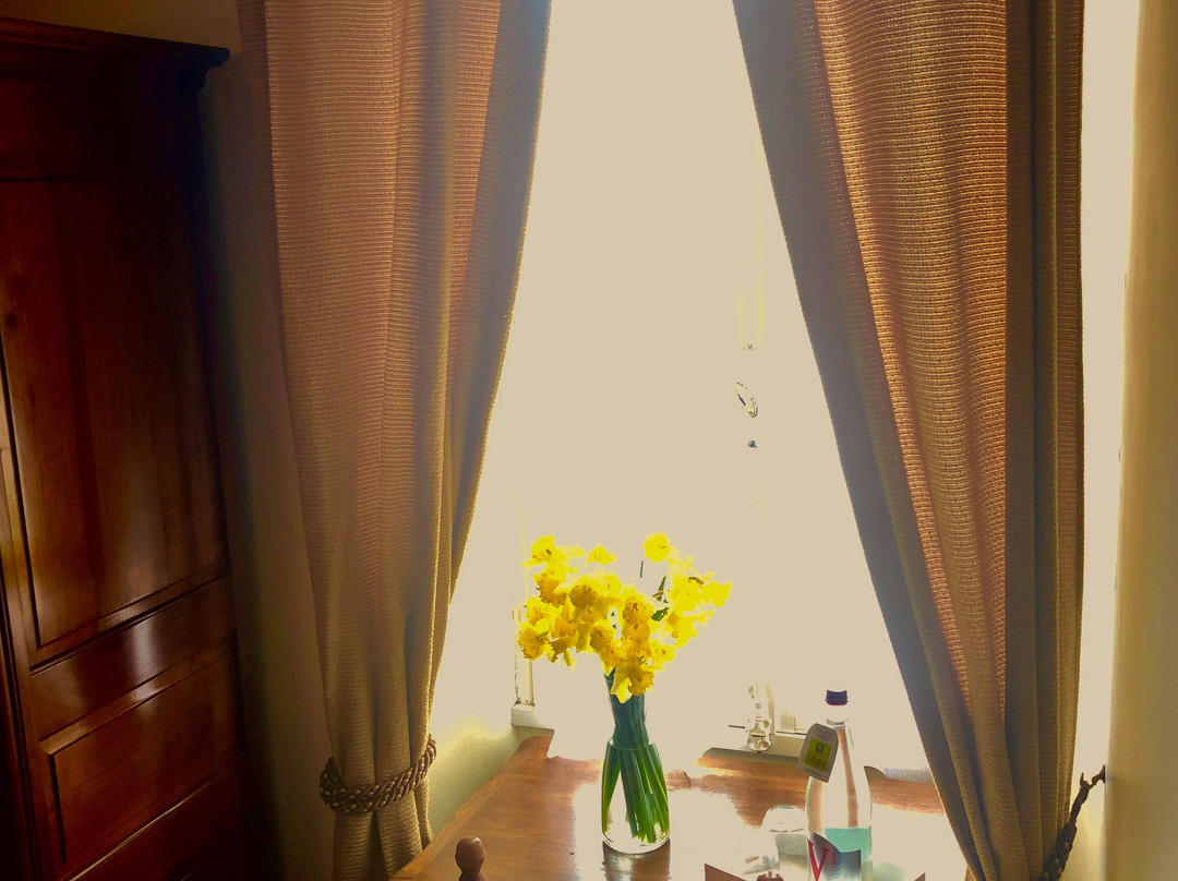 戈永纳克酒店主图