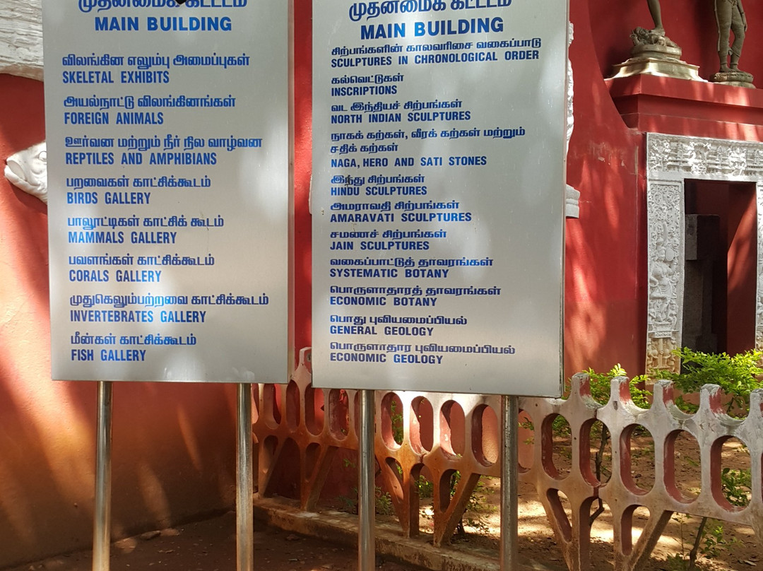 Government Museum-金奈（马德拉斯）必去景点